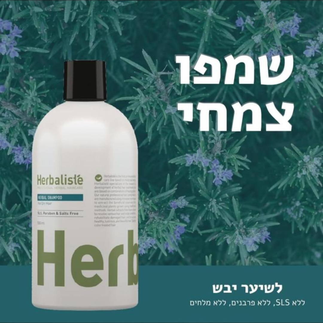 עיצוב ללא שם (27)