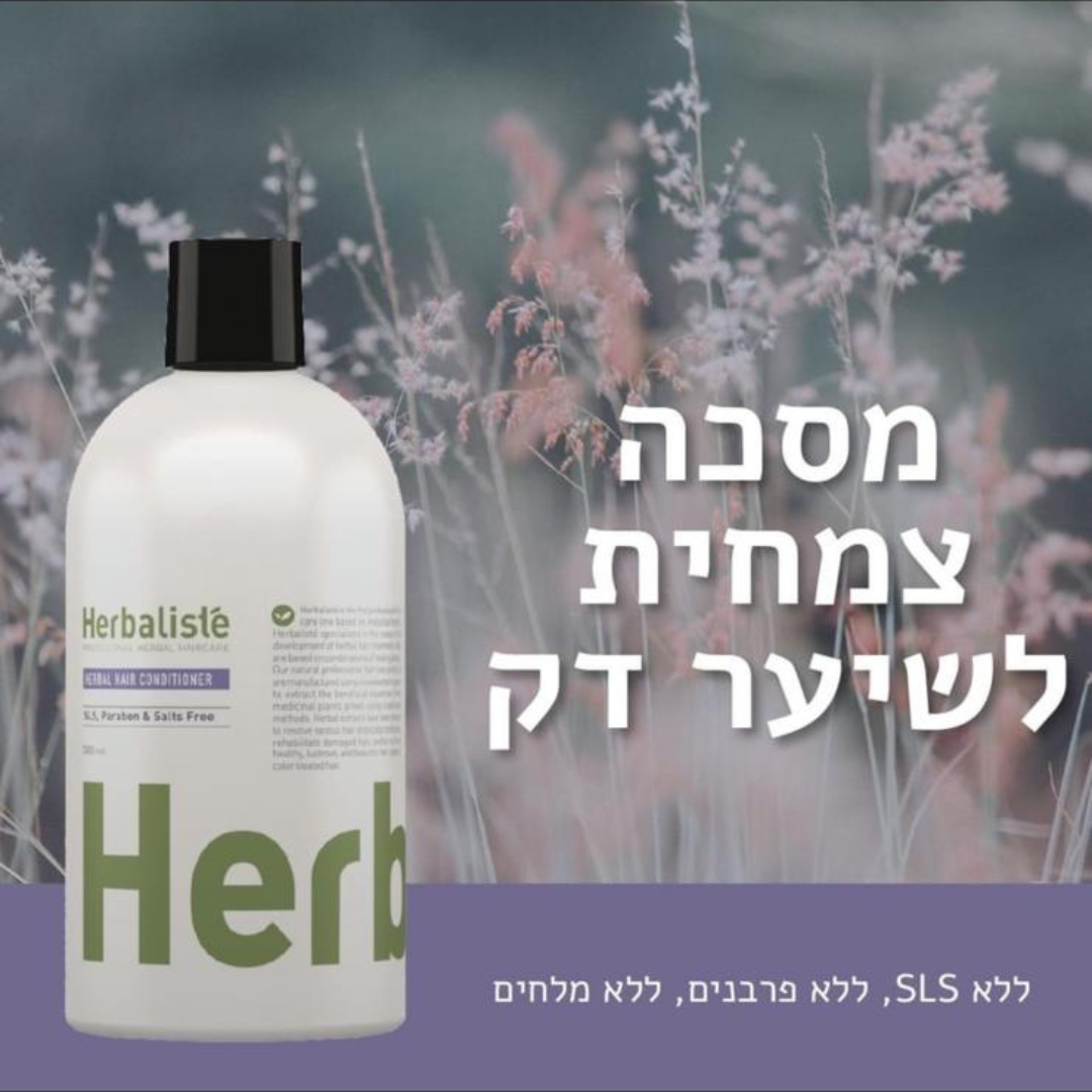 עיצוב ללא שם (29)